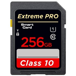 Karta SD klasy 10 TF KING EXTREME PRO 256GB 