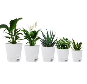 Zestaw 5 samo nawadniających Doniczek do Roślin Domowych