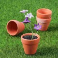 Zestaw 20 Mini Ceramicznych Doniczek Terracotta
