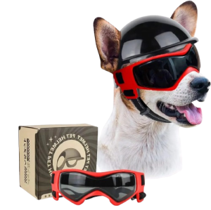 Kask dla psa ochronny z goglami na rower motor do samochodu