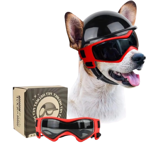 Kask dla psa ochronny z goglami na rower motor do samochodu